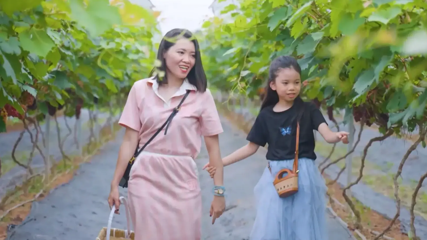 Hà Nội chú trọng sản xuất nông nghiệp xanh | Chuyển đổi xanh | 20/09/2025